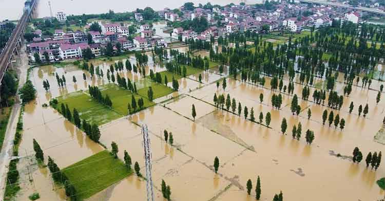 1691545212203191.jpg 未標題-1.jpg