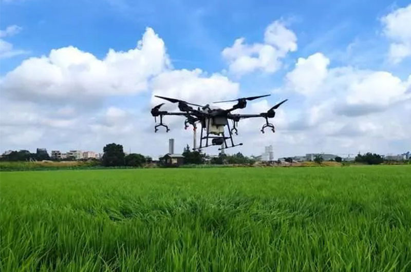 1704627931414003.jpg 未標(biāo)題-3.jpg